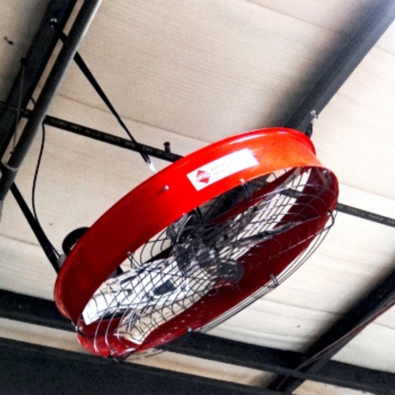 AirFocus 59" Variable Speed Directional Ceiling Fan