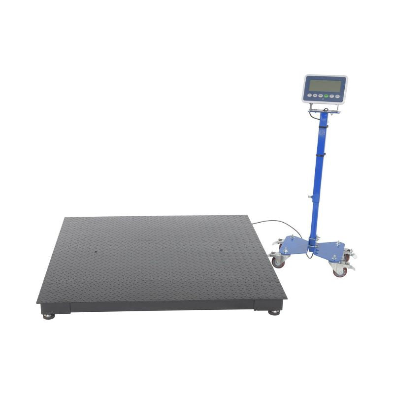 Low Profile Floor Scale