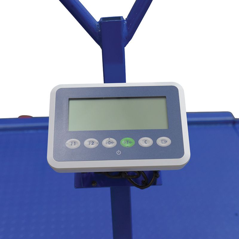 Portable Floor Scale